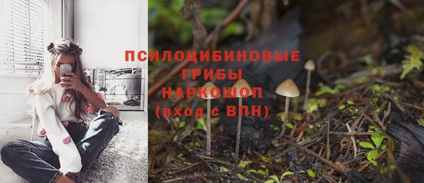 прущая мука Алексин