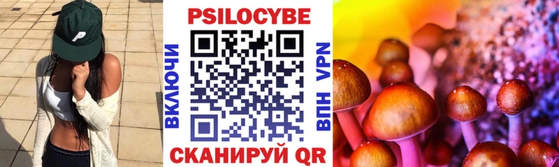Псилоцибиновые грибы GOLDEN TEACHER  KRAKEN вход  Моздок  цены  